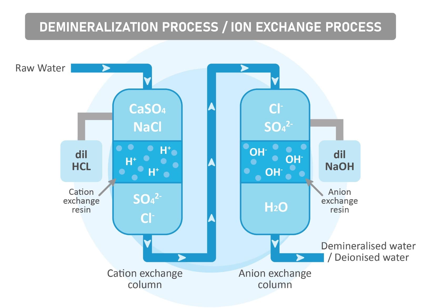 DM Plant System